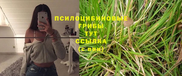 Альфа ПВП Абдулино