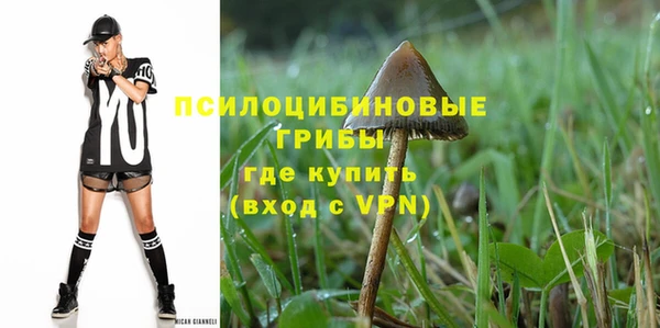 дурь Абаза