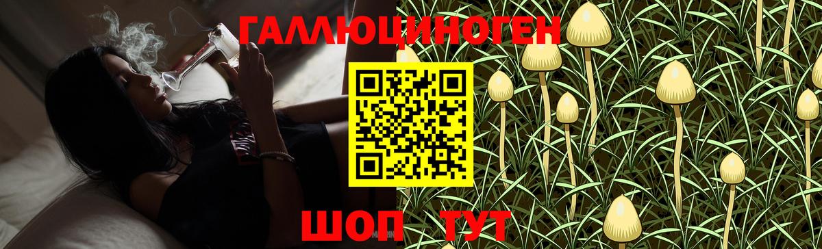 Галлюциногенные грибы Magic Shrooms  Псилоцибиновые грибы прущие грибы  Вход с VPN  Оренбург 